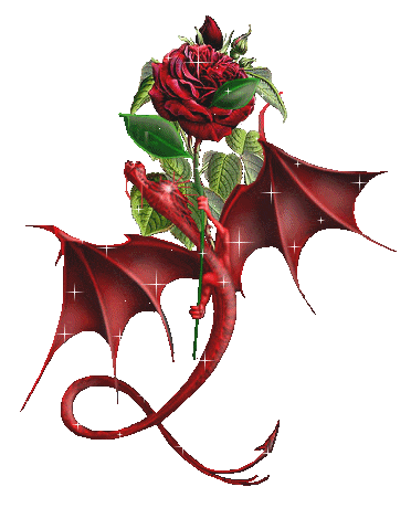 une rose